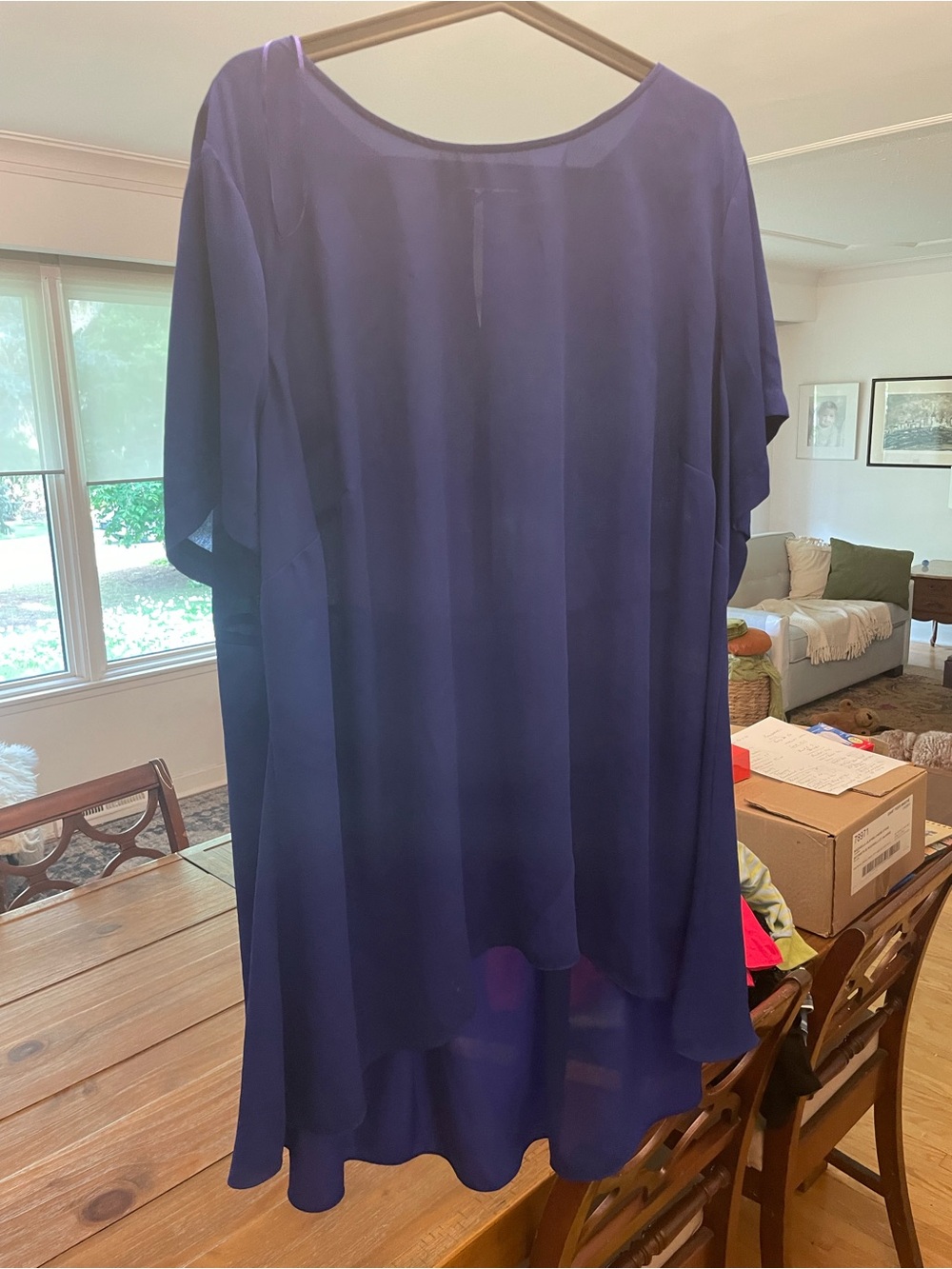 Elegant Sheer Solid Tunic Top in royal blue
